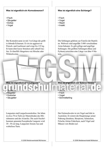 Quiz-Karten-Tiernamen 61.pdf